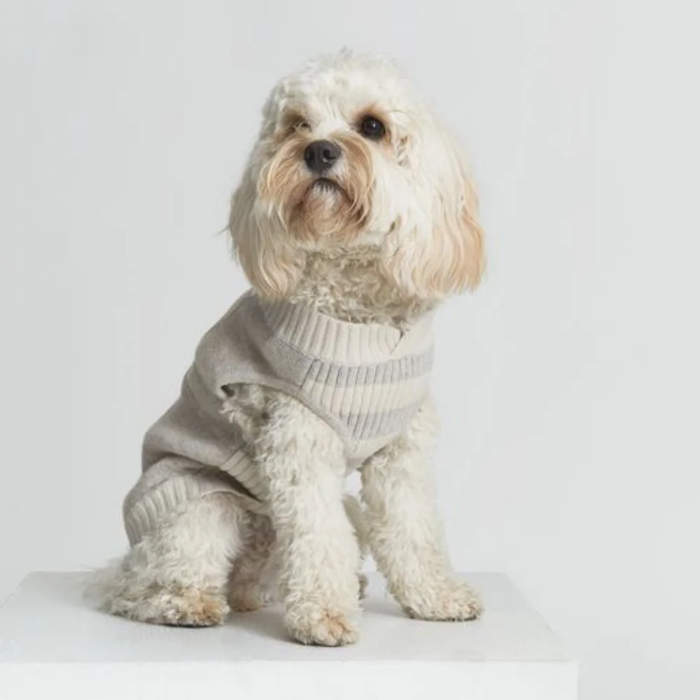 REISS ALDERS GREY AND CREAM WOOL DOG PET SWEATER COAT MEDIUM NEW